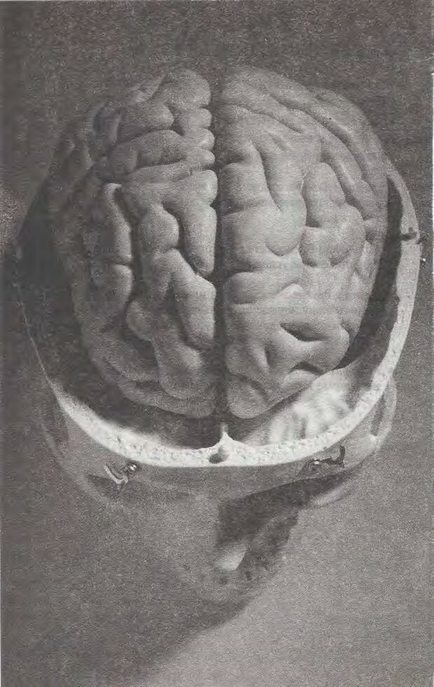 📖 PDF. Перезагрузка мозга. Мидлтон Д. Страница 11. Читать онлайн pdf