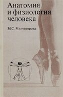 Анатомия и физиология человека, Миловзорова Мелэна