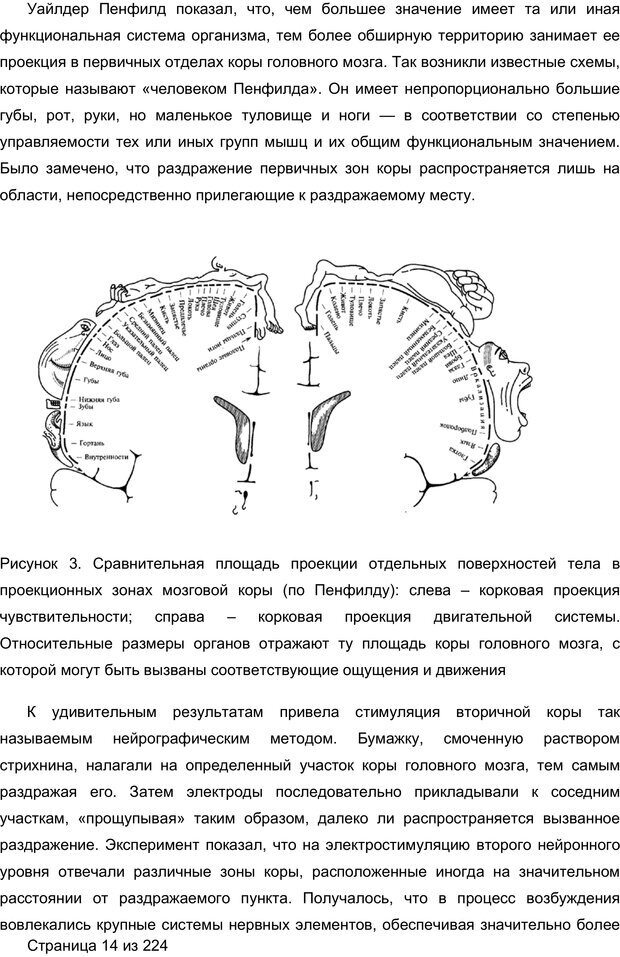 📖 PDF. Мозг напрокат. 
Как работает человеческое мышление и как создать душу для компьютера. Редозубов А. Д. Страница 13. Читать онлайн pdf
