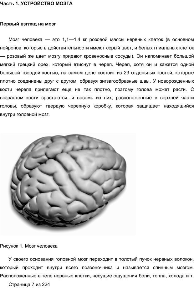 📖 PDF. Мозг напрокат. 
Как работает человеческое мышление и как создать душу для компьютера. Редозубов А. Д. Страница 6. Читать онлайн pdf