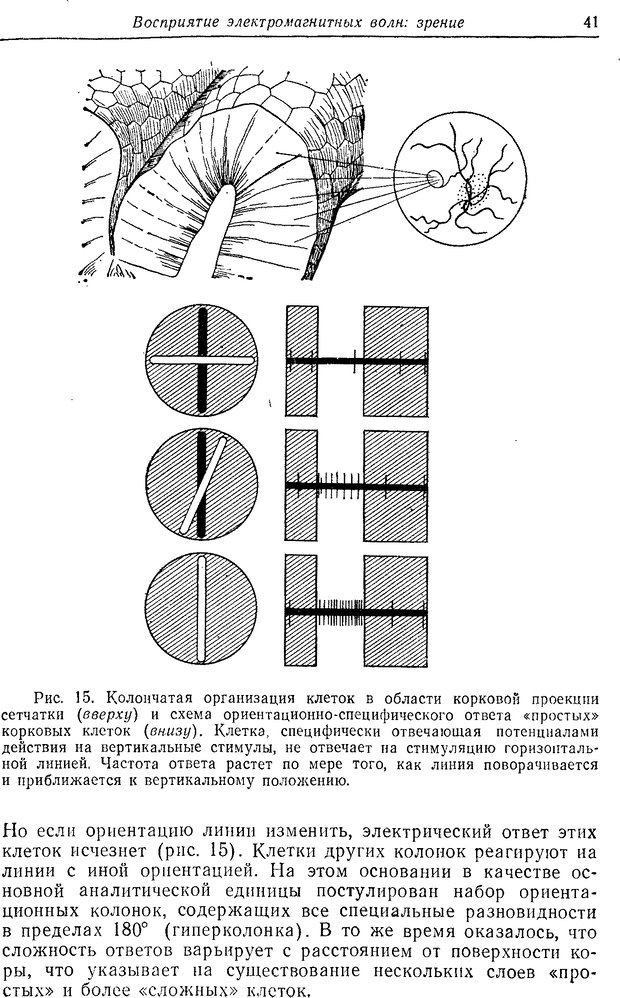 📖 DJVU. Восприятие, сознание, память. Адам Д. Страница 39. Читать онлайн djvu