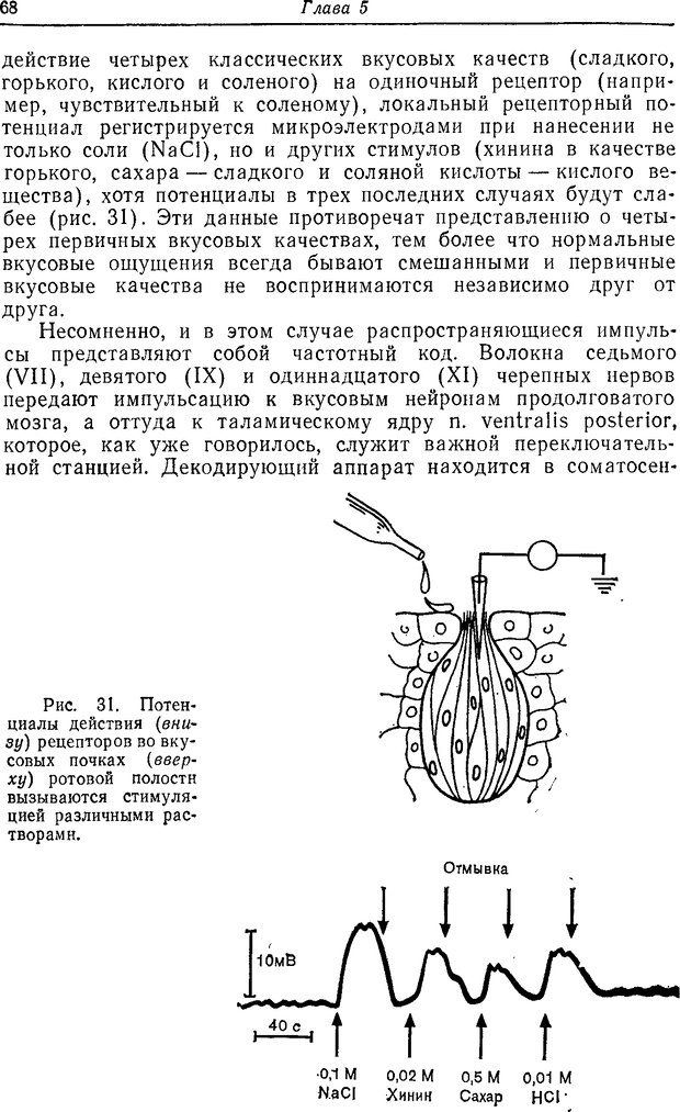 📖 DJVU. Восприятие, сознание, память. Адам Д. Страница 66. Читать онлайн djvu