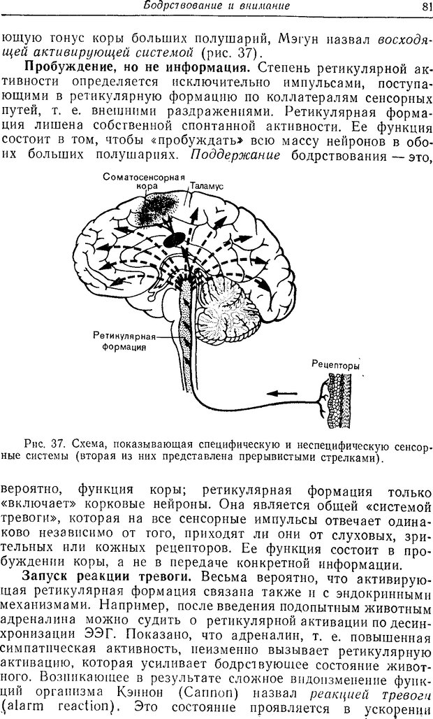 📖 DJVU. Восприятие, сознание, память. Адам Д. Страница 79. Читать онлайн djvu