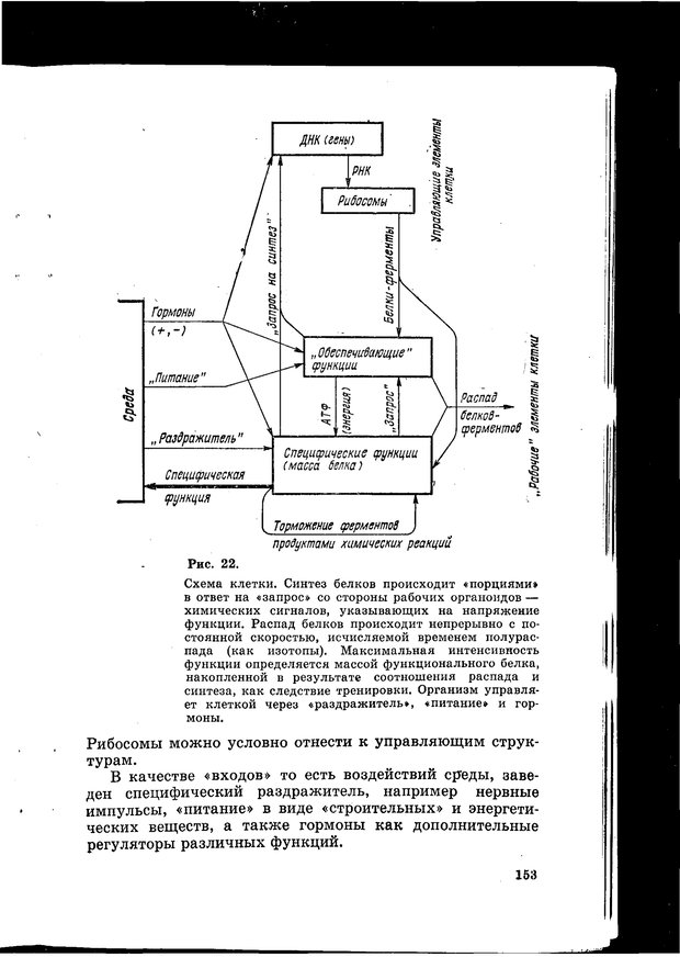 📖 PDF. Природа человека. Амосов Н. М. Страница 186. Читать онлайн pdf