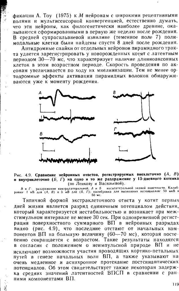 📖 DJVU. Нейрофизиология коры головного мозга. Батуев А. С. Страница 117. Читать онлайн djvu