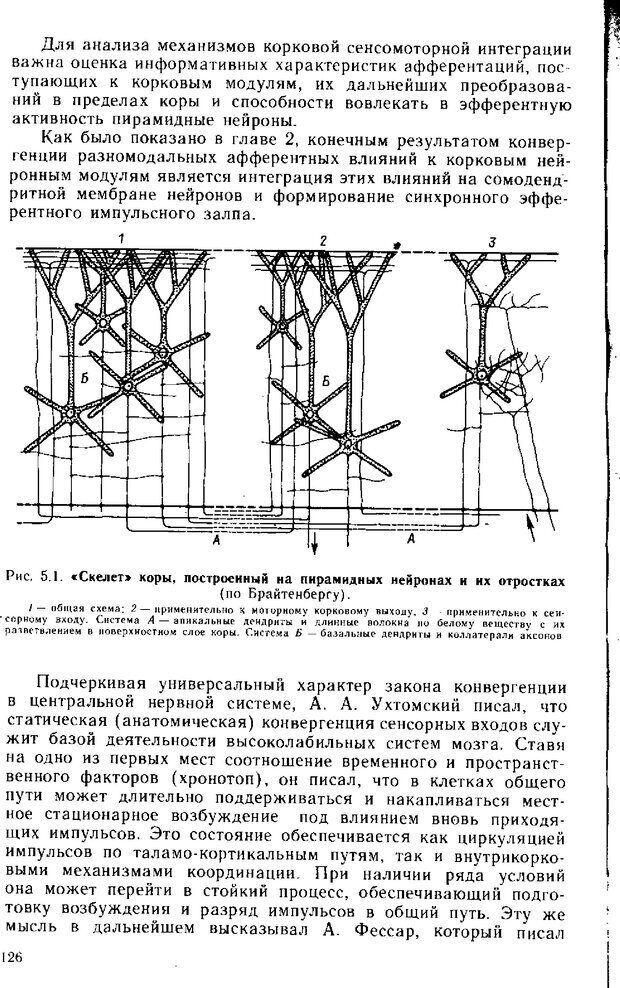 📖 DJVU. Нейрофизиология коры головного мозга. Батуев А. С. Страница 124. Читать онлайн djvu