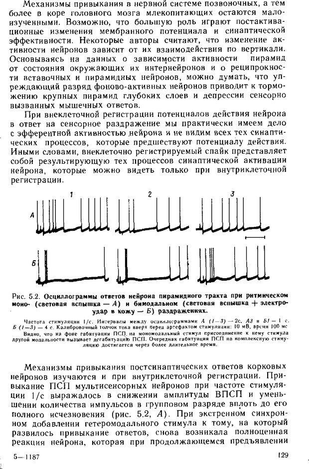 📖 DJVU. Нейрофизиология коры головного мозга. Батуев А. С. Страница 127. Читать онлайн djvu