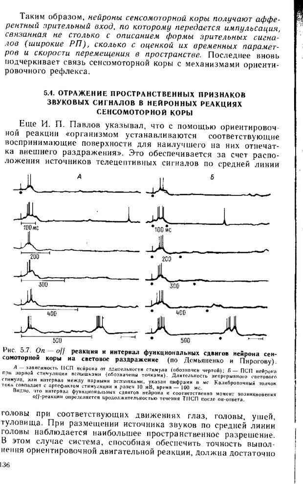 📖 DJVU. Нейрофизиология коры головного мозга. Батуев А. С. Страница 134. Читать онлайн djvu