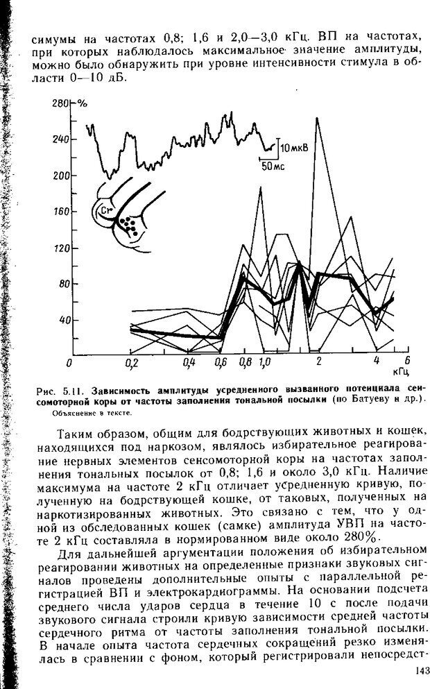 📖 DJVU. Нейрофизиология коры головного мозга. Батуев А. С. Страница 141. Читать онлайн djvu