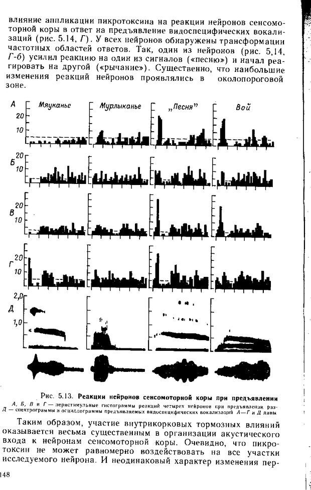 📖 DJVU. Нейрофизиология коры головного мозга. Батуев А. С. Страница 146. Читать онлайн djvu