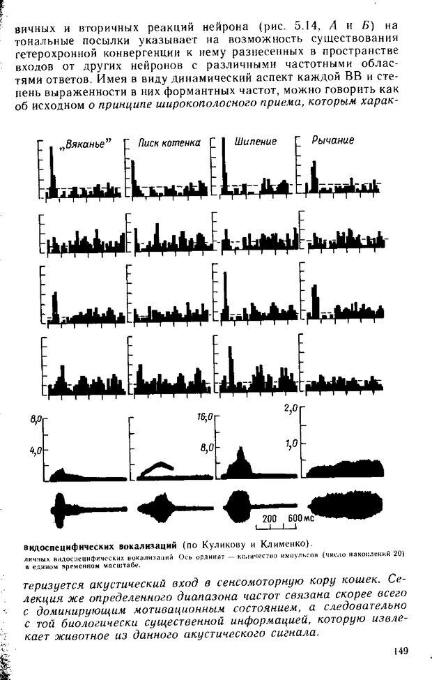 📖 DJVU. Нейрофизиология коры головного мозга. Батуев А. С. Страница 147. Читать онлайн djvu