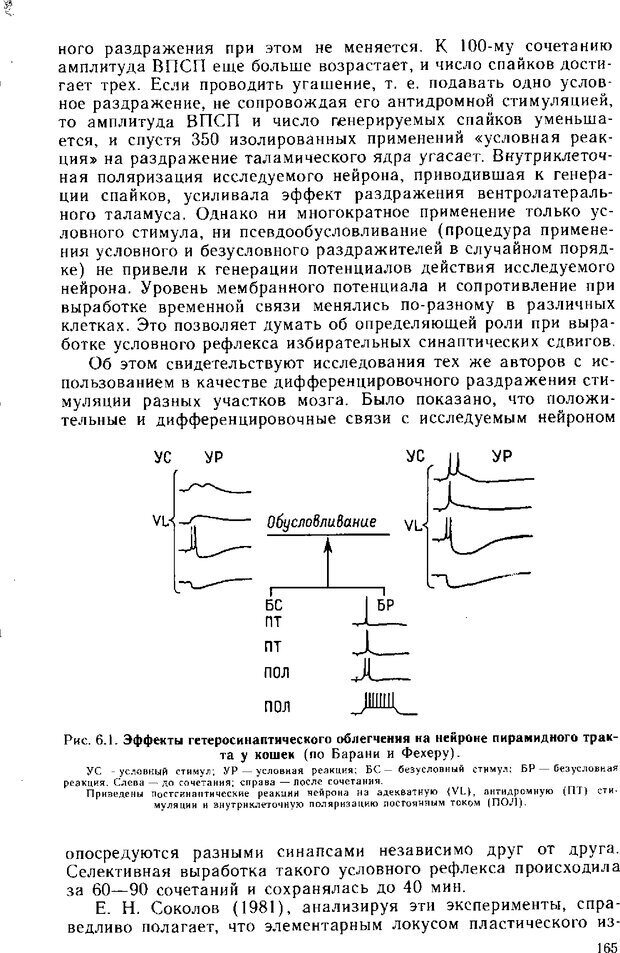 📖 DJVU. Нейрофизиология коры головного мозга. Батуев А. С. Страница 162. Читать онлайн djvu