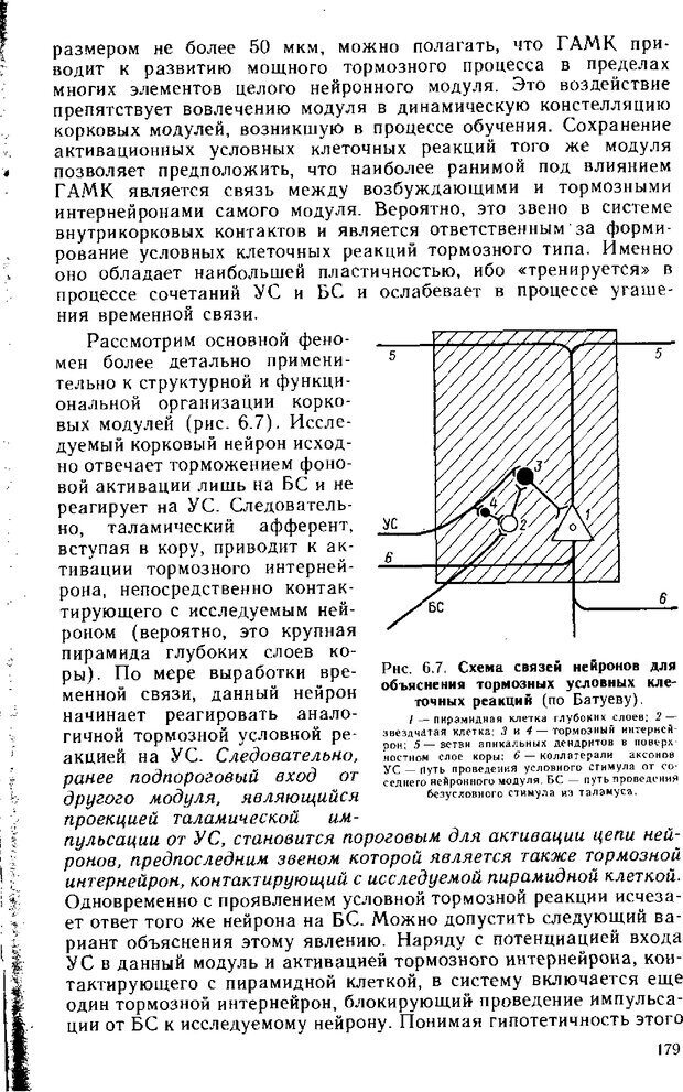 📖 DJVU. Нейрофизиология коры головного мозга. Батуев А. С. Страница 176. Читать онлайн djvu