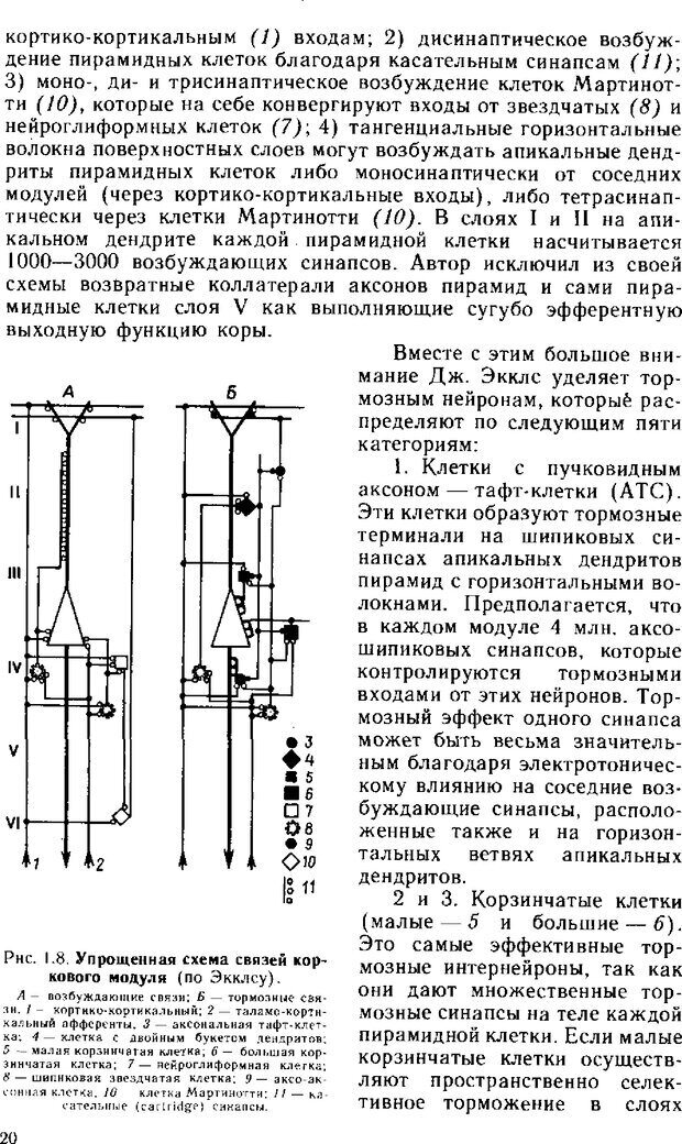 📖 DJVU. Нейрофизиология коры головного мозга. Батуев А. С. Страница 18. Читать онлайн djvu