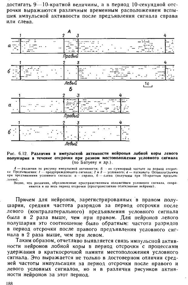 📖 DJVU. Нейрофизиология коры головного мозга. Батуев А. С. Страница 185. Читать онлайн djvu