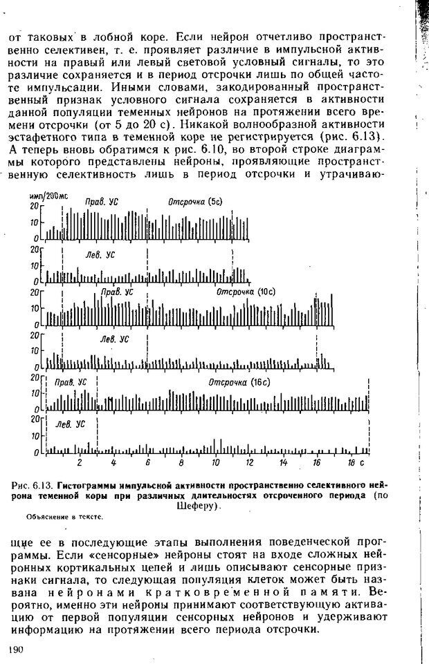 📖 DJVU. Нейрофизиология коры головного мозга. Батуев А. С. Страница 187. Читать онлайн djvu