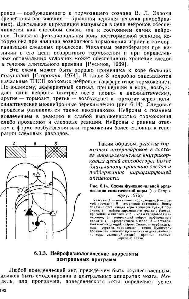 📖 DJVU. Нейрофизиология коры головного мозга. Батуев А. С. Страница 189. Читать онлайн djvu