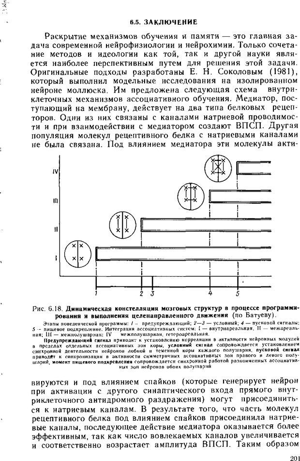 📖 DJVU. Нейрофизиология коры головного мозга. Батуев А. С. Страница 198. Читать онлайн djvu