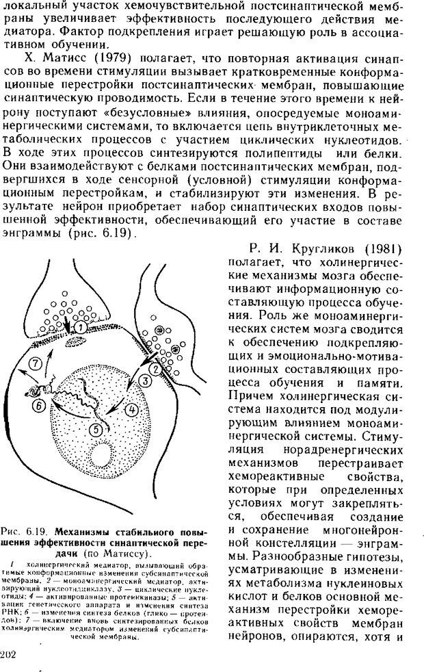 📖 DJVU. Нейрофизиология коры головного мозга. Батуев А. С. Страница 199. Читать онлайн djvu