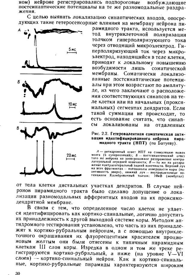 📖 DJVU. Нейрофизиология коры головного мозга. Батуев А. С. Страница 28. Читать онлайн djvu