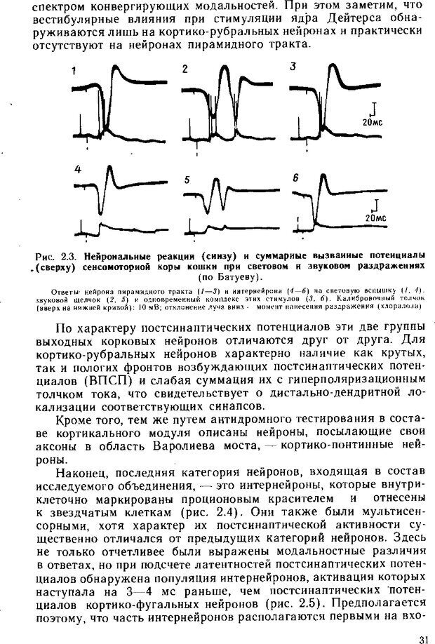 📖 DJVU. Нейрофизиология коры головного мозга. Батуев А. С. Страница 29. Читать онлайн djvu