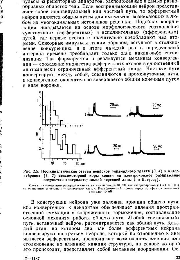 📖 DJVU. Нейрофизиология коры головного мозга. Батуев А. С. Страница 31. Читать онлайн djvu