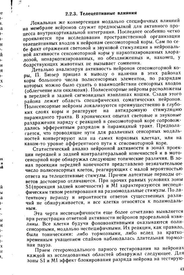 📖 DJVU. Нейрофизиология коры головного мозга. Батуев А. С. Страница 41. Читать онлайн djvu