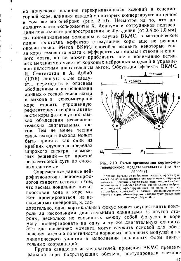 📖 DJVU. Нейрофизиология коры головного мозга. Батуев А. С. Страница 45. Читать онлайн djvu