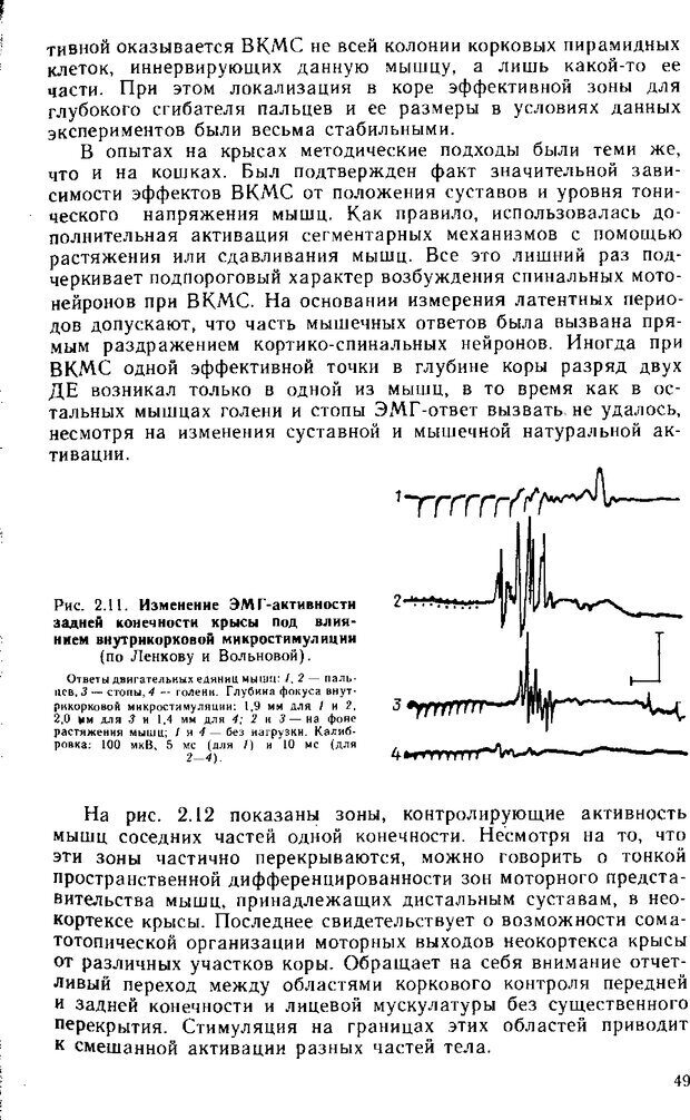 📖 DJVU. Нейрофизиология коры головного мозга. Батуев А. С. Страница 47. Читать онлайн djvu