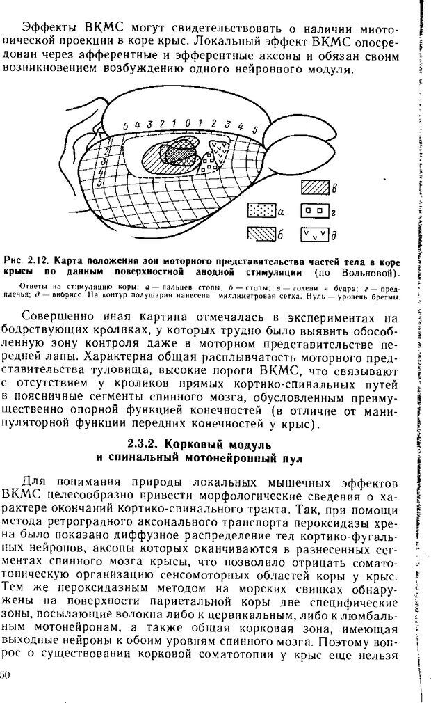 📖 DJVU. Нейрофизиология коры головного мозга. Батуев А. С. Страница 48. Читать онлайн djvu