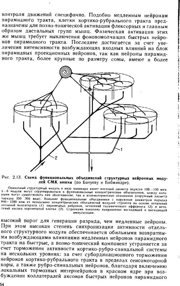 📖 DJVU. Нейрофизиология коры головного мозга. Батуев А. С. Страница 52. Читать онлайн djvu