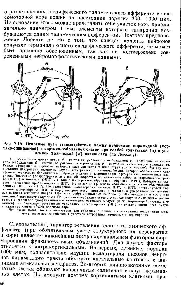 📖 DJVU. Нейрофизиология коры головного мозга. Батуев А. С. Страница 54. Читать онлайн djvu