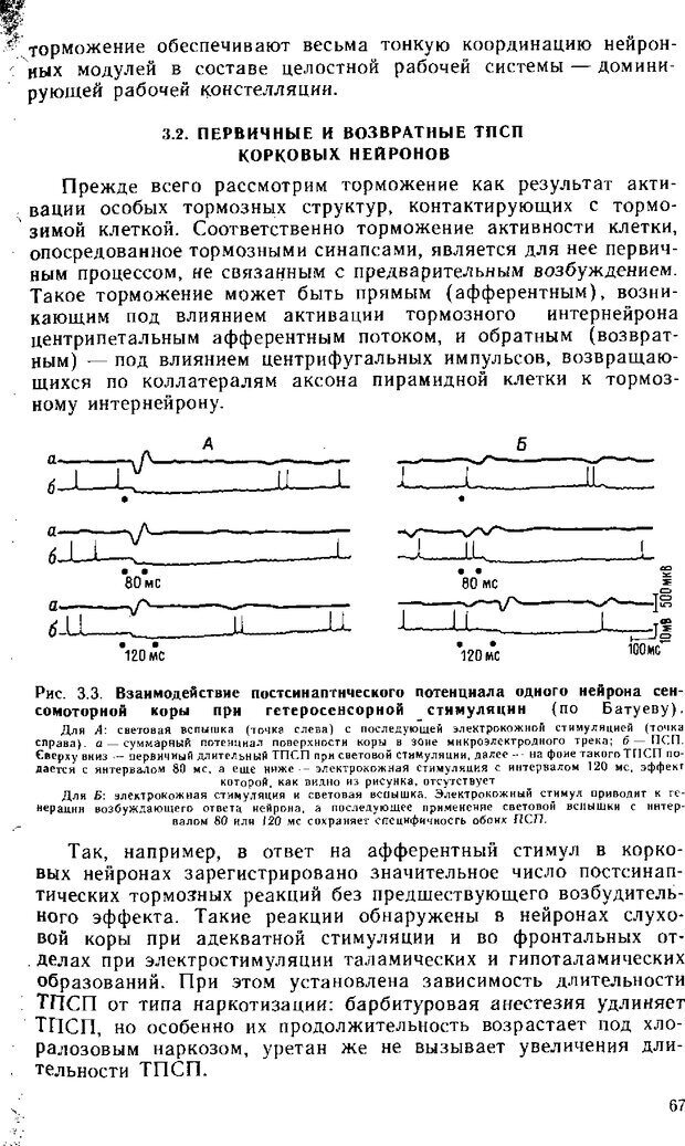 📖 DJVU. Нейрофизиология коры головного мозга. Батуев А. С. Страница 65. Читать онлайн djvu