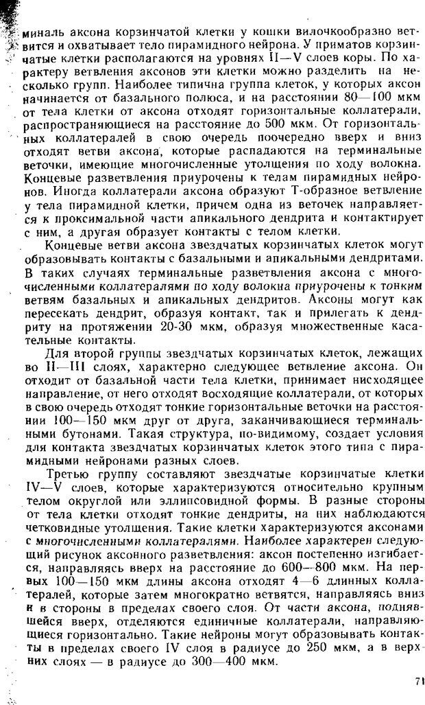 📖 DJVU. Нейрофизиология коры головного мозга. Батуев А. С. Страница 69. Читать онлайн djvu