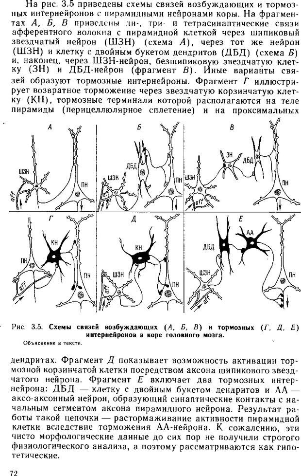 📖 DJVU. Нейрофизиология коры головного мозга. Батуев А. С. Страница 70. Читать онлайн djvu