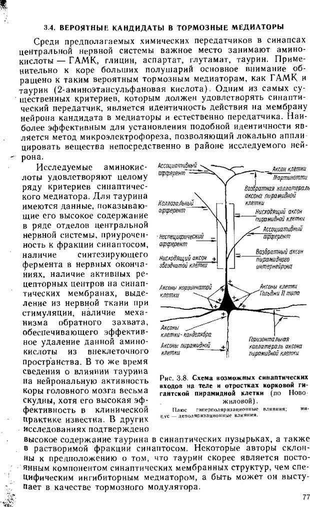 📖 DJVU. Нейрофизиология коры головного мозга. Батуев А. С. Страница 75. Читать онлайн djvu