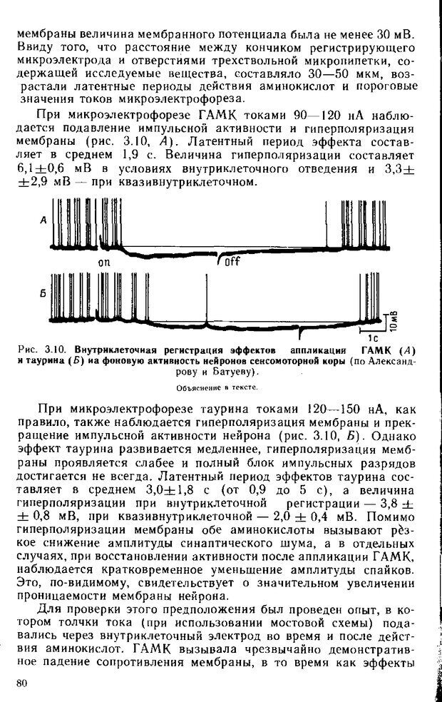 📖 DJVU. Нейрофизиология коры головного мозга. Батуев А. С. Страница 78. Читать онлайн djvu