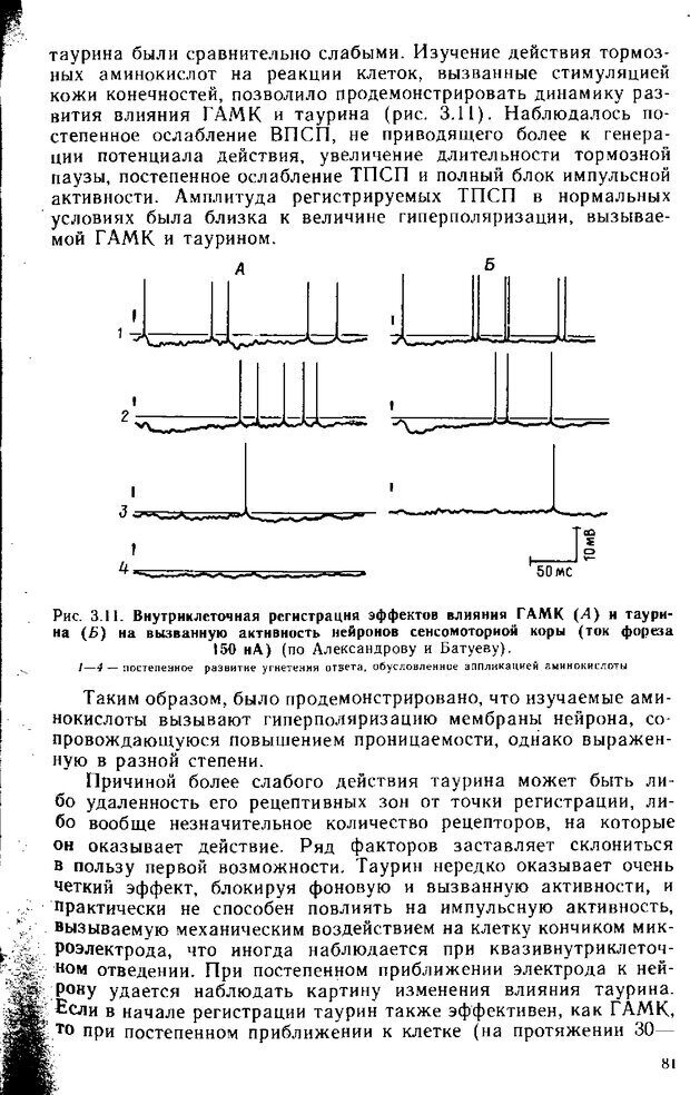 📖 DJVU. Нейрофизиология коры головного мозга. Батуев А. С. Страница 79. Читать онлайн djvu