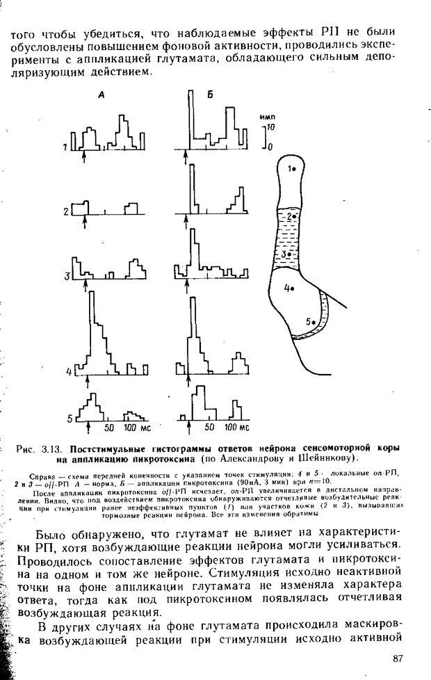 📖 DJVU. Нейрофизиология коры головного мозга. Батуев А. С. Страница 85. Читать онлайн djvu
