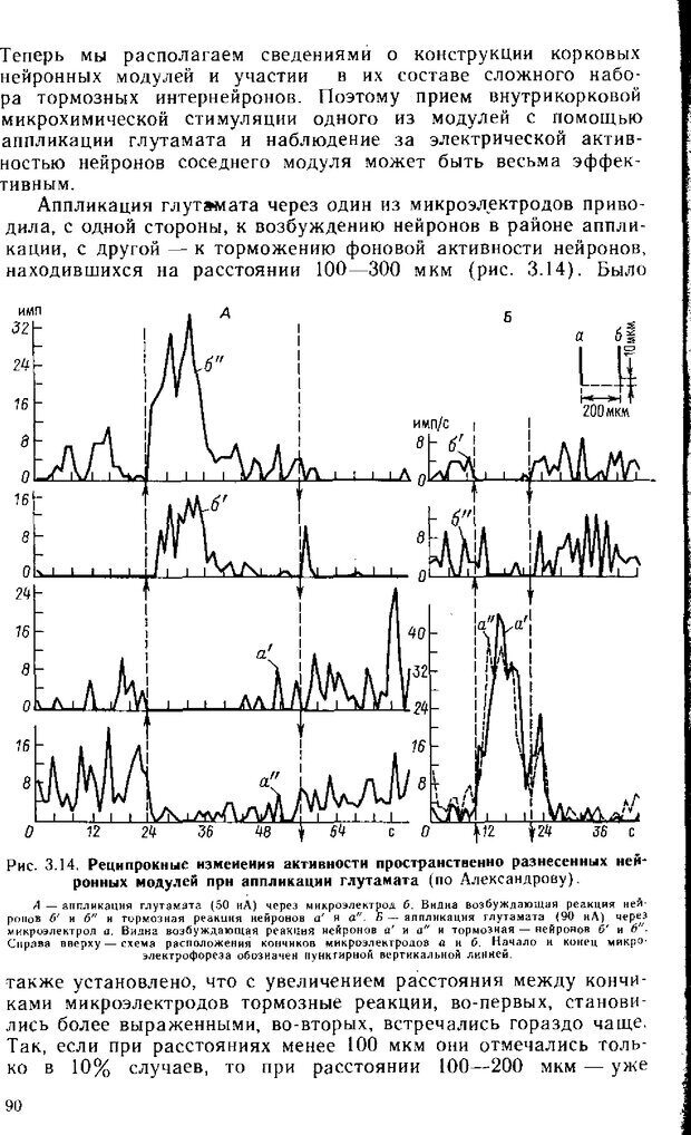 📖 DJVU. Нейрофизиология коры головного мозга. Батуев А. С. Страница 88. Читать онлайн djvu