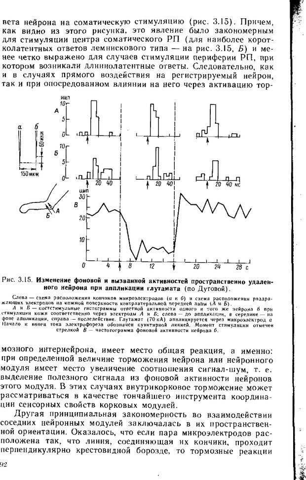 📖 DJVU. Нейрофизиология коры головного мозга. Батуев А. С. Страница 90. Читать онлайн djvu