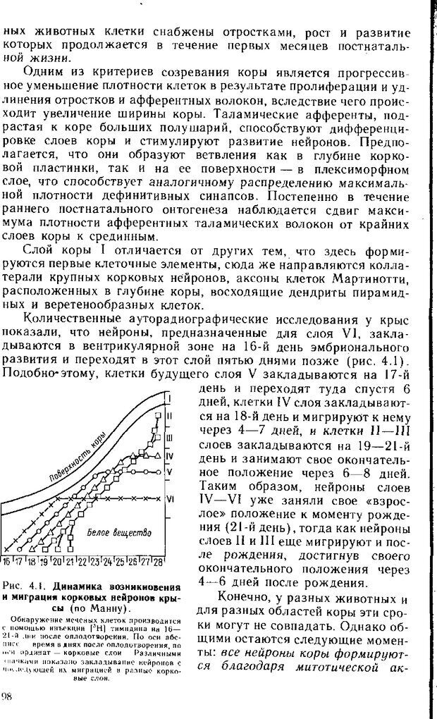 📖 DJVU. Нейрофизиология коры головного мозга. Батуев А. С. Страница 96. Читать онлайн djvu