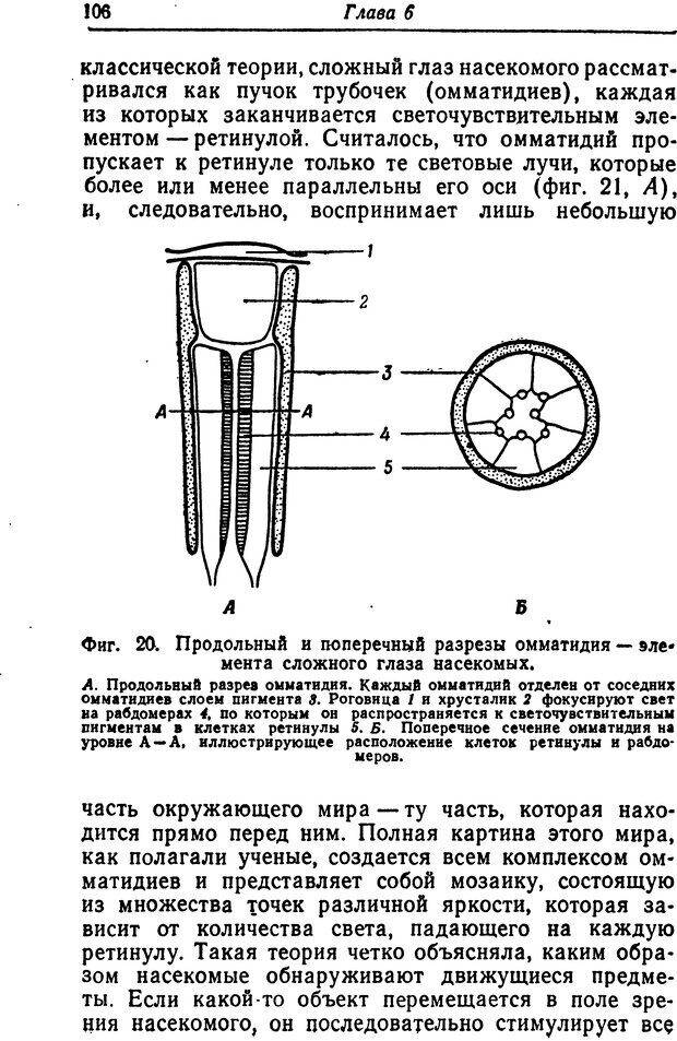 📖 DJVU. Чувства животных. Бертон Р. Страница 107. Читать онлайн djvu