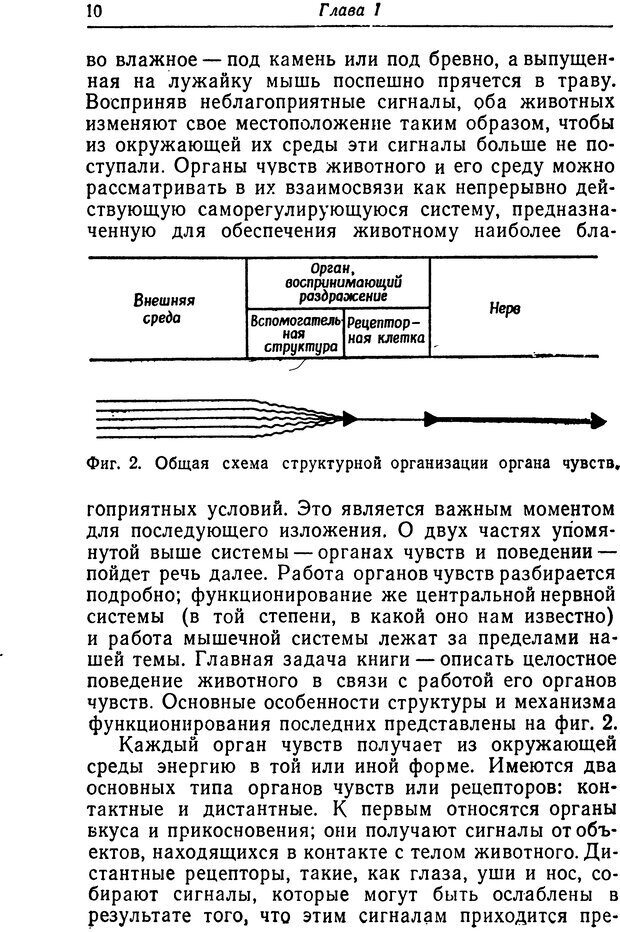 📖 DJVU. Чувства животных. Бертон Р. Страница 11. Читать онлайн djvu