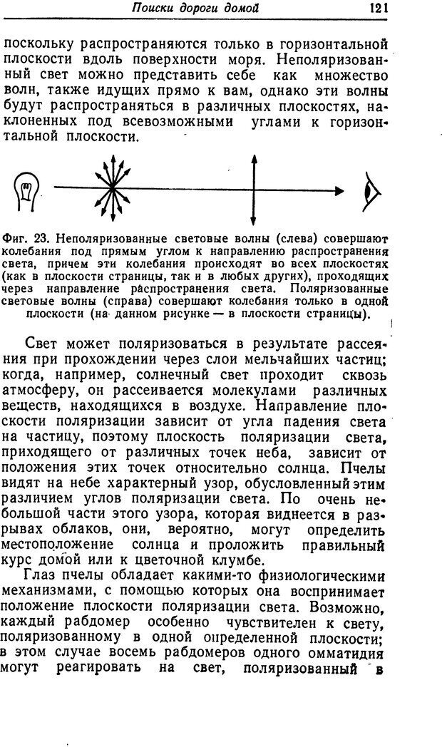 📖 DJVU. Чувства животных. Бертон Р. Страница 122. Читать онлайн djvu