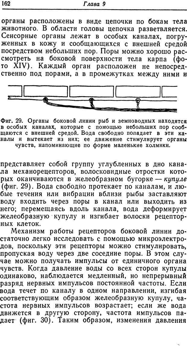 📖 DJVU. Чувства животных. Бертон Р. Страница 163. Читать онлайн djvu