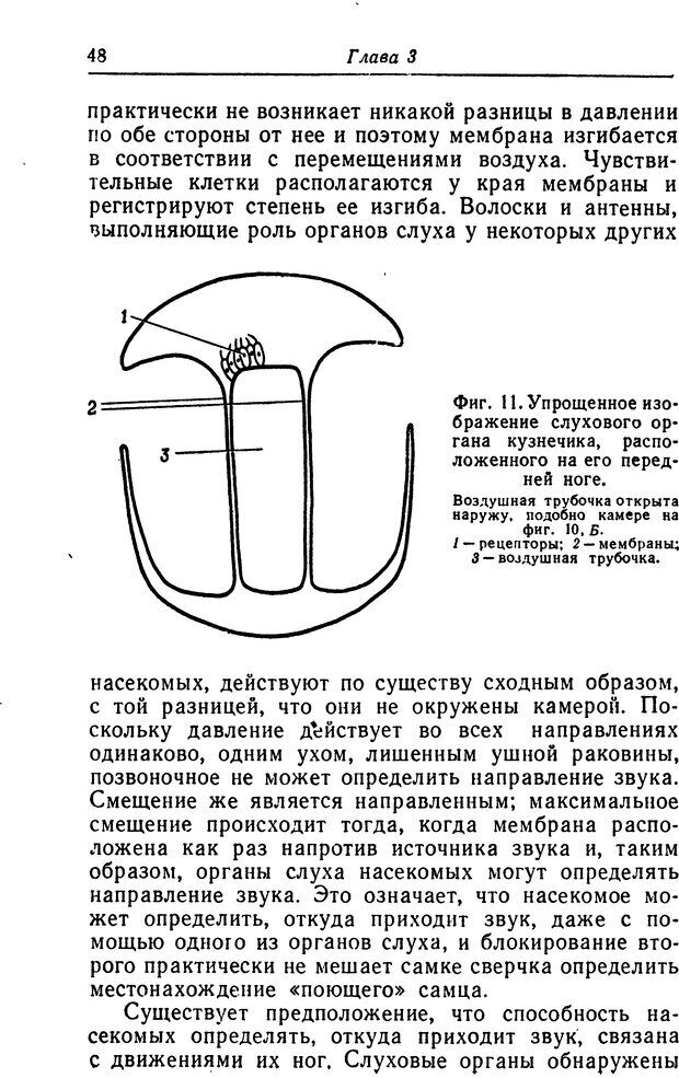 📖 DJVU. Чувства животных. Бертон Р. Страница 49. Читать онлайн djvu