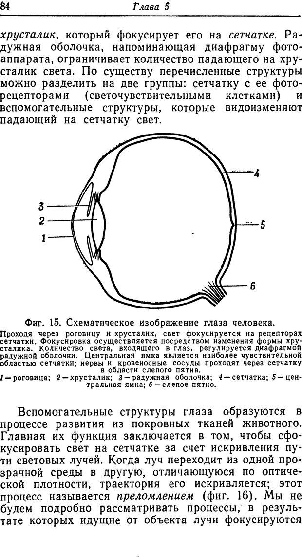 📖 DJVU. Чувства животных. Бертон Р. Страница 85. Читать онлайн djvu