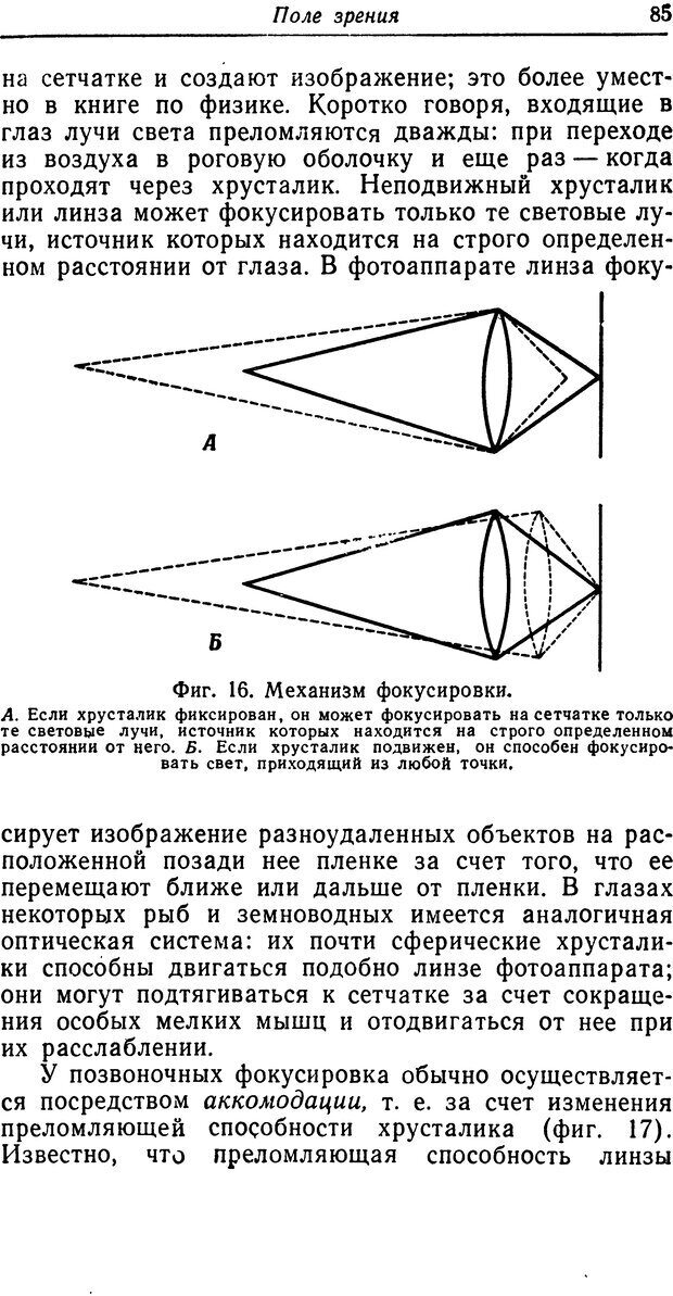 📖 DJVU. Чувства животных. Бертон Р. Страница 86. Читать онлайн djvu