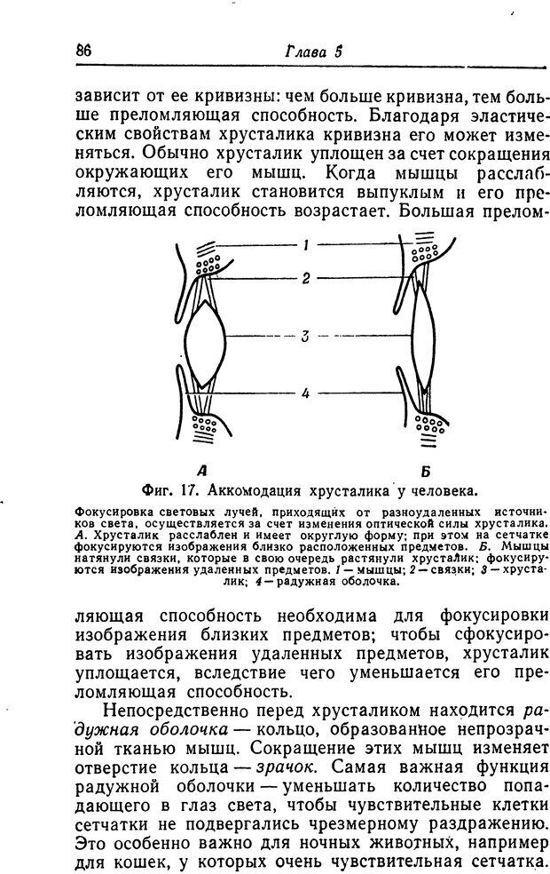 📖 DJVU. Чувства животных. Бертон Р. Страница 87. Читать онлайн djvu